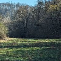 Baugh Hollow Rd Lot 6