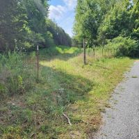 Baugh Hollow Rd Lot 6 images 2