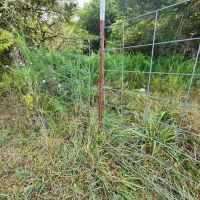 Baugh Hollow Rd Lot 6 images 5