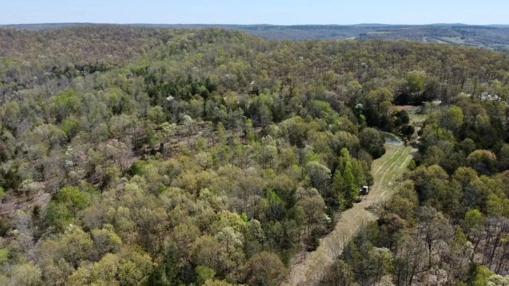 The Mountain at Homesteader s Spring featured image