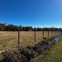 LA - Richland 90 acres - images 3