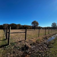 LA - Richland 90 acres - images 4