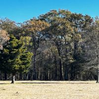 LA - Richland 90 acres - images 5