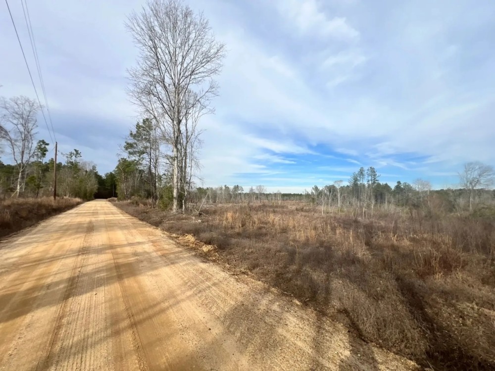 Two 16 Acre Tracts in Wayne County MS featured image