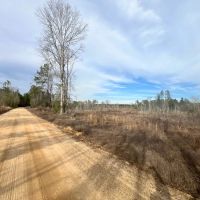 Two 16 Acre Tracts in Wayne County MS