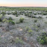 Brazos River Pasture images 4