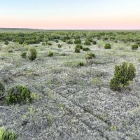 Brazos River Pasture images 5