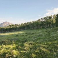 The Castles View Ranch images 4