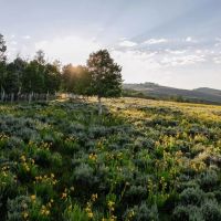 The Castles View Ranch images 5