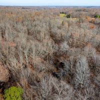 30 - Acres Build Dream Home or Develop Hasbrook Road Craighead County Arkansas images 2