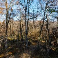 30 - Acres Build Dream Home or Develop Hasbrook Road Craighead County Arkansas images 3