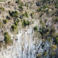 1943 Crosstown Rd - Berlin images 3