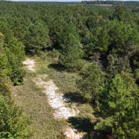 LA - Ouachita 53 acres - images 4