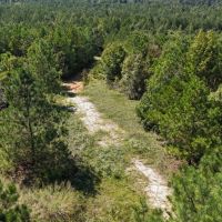 LA - Ouachita 53 acres - images 5