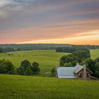 162 Acre Lookout Mountain Retreat images 3