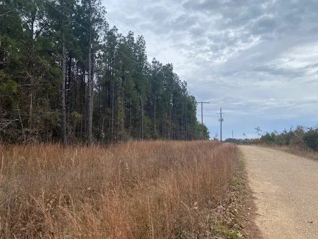 Pleasant Ridge Road LaSalle Parish featured image