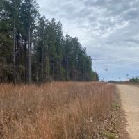 Pleasant Ridge Road LaSalle Parish