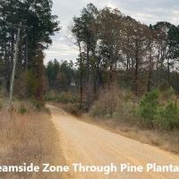 Pleasant Ridge Road LaSalle Parish images 3