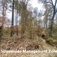 Pleasant Ridge Road LaSalle Parish images 5