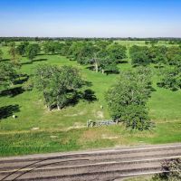 661 B FM 2550 Walker County TX images 5