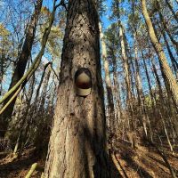 Hatton Homesite Tract 3A images 4