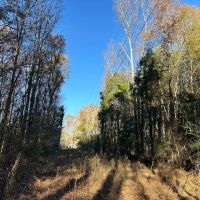 Hatton Homesite Tract 3A images 5