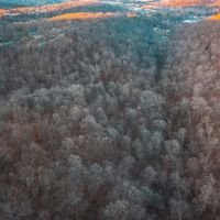 House Springs Hollow images 5