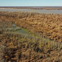 Two Equity Shares Smith Point Hunting Club Bolivar County MS images 2