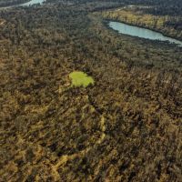Two Equity Shares Smith Point Hunting Club Bolivar County MS images 4