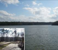Deer Hunting Land Natchez State Park 66 acres in Natchez, MS images 2