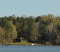 Deer Hunting Land Natchez State Park 66 acres in Natchez, MS images 3