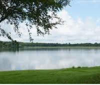 Deer Hunting Land Natchez State Park 66 acres in Natchez, MS images 4