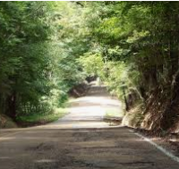 Deer Hunting Land Natchez State Park 66 acres in Natchez, MS images 5