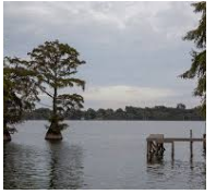 Deer Hunting Land Natchez State Park 66 acres in Natchez, MS images 6