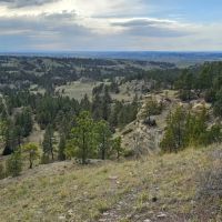 Yellowstone Wildlife Refuge images 4