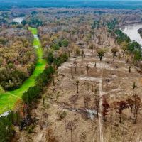 Duck and Deer Hunting Land for Sale with River Frontage