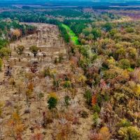 Duck and Deer Hunting Land for Sale with River Frontage images 2