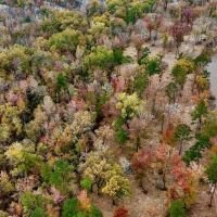 Duck and Deer Hunting Land for Sale with River Frontage images 3
