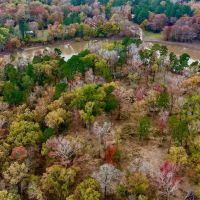 Duck and Deer Hunting Land for Sale with River Frontage images 4