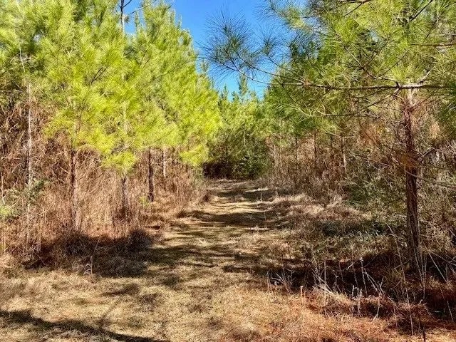 4.6 acres Archie Boyd Road featured image
