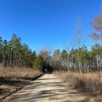 Hatton Timber and Rec Tract images 2