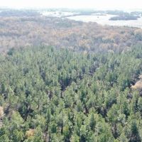 Hatton Timber and Rec Tract images 3