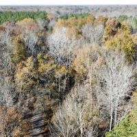 Hatton Timber and Rec Tract images 4