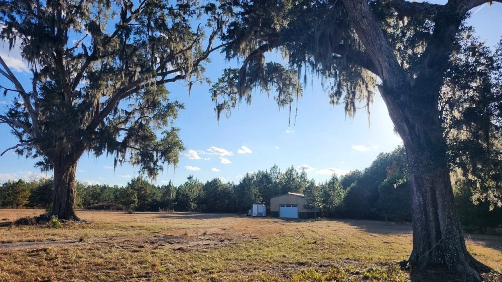 29 Acres on Spanish Creek in Charlton County GA featured image