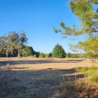 29 Acres on Spanish Creek in Charlton County GA images 2