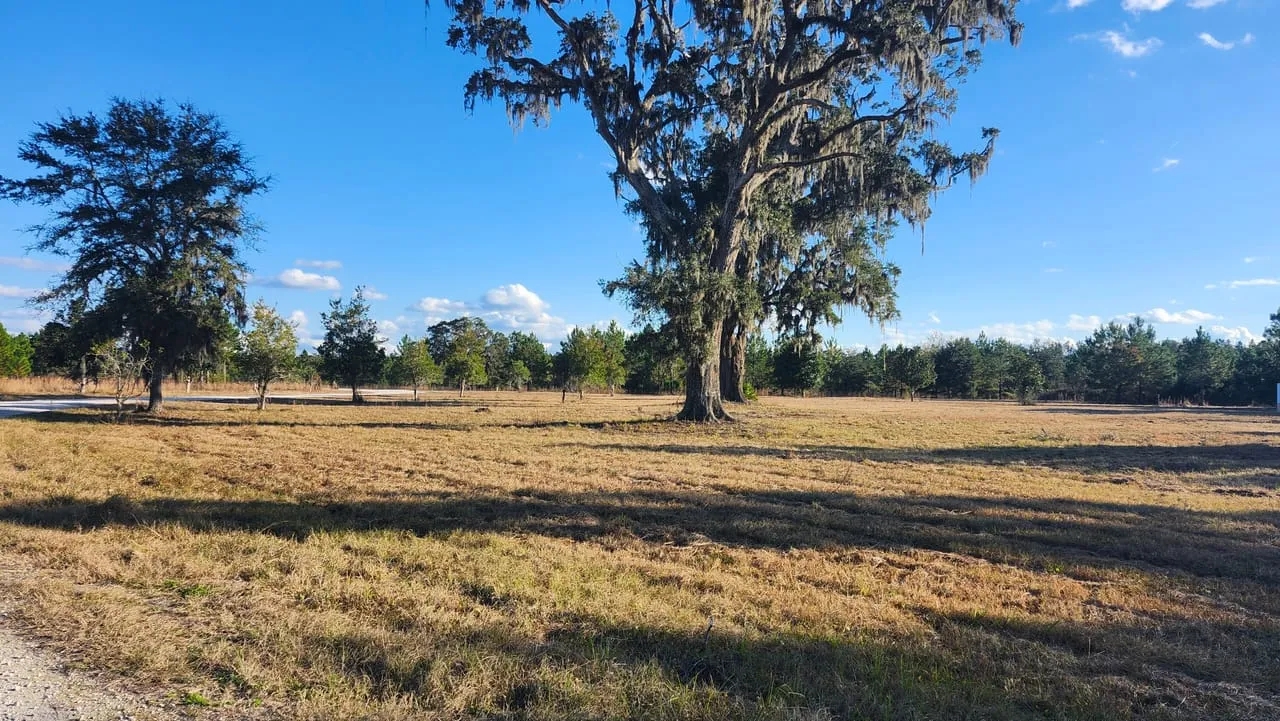 29 Acres on Spanish Creek in Charlton County GA Hunting Land for Sale