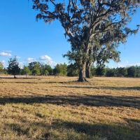 29 Acres on Spanish Creek in Charlton County GA images 3