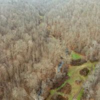 713 off Sugar Tree Branch Rd
