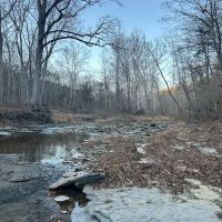 9.6 Acre Hunting Retreat Switzerland County Indiana images 2