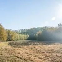 386 Acres in Carroll County in Greenwood MS images 2